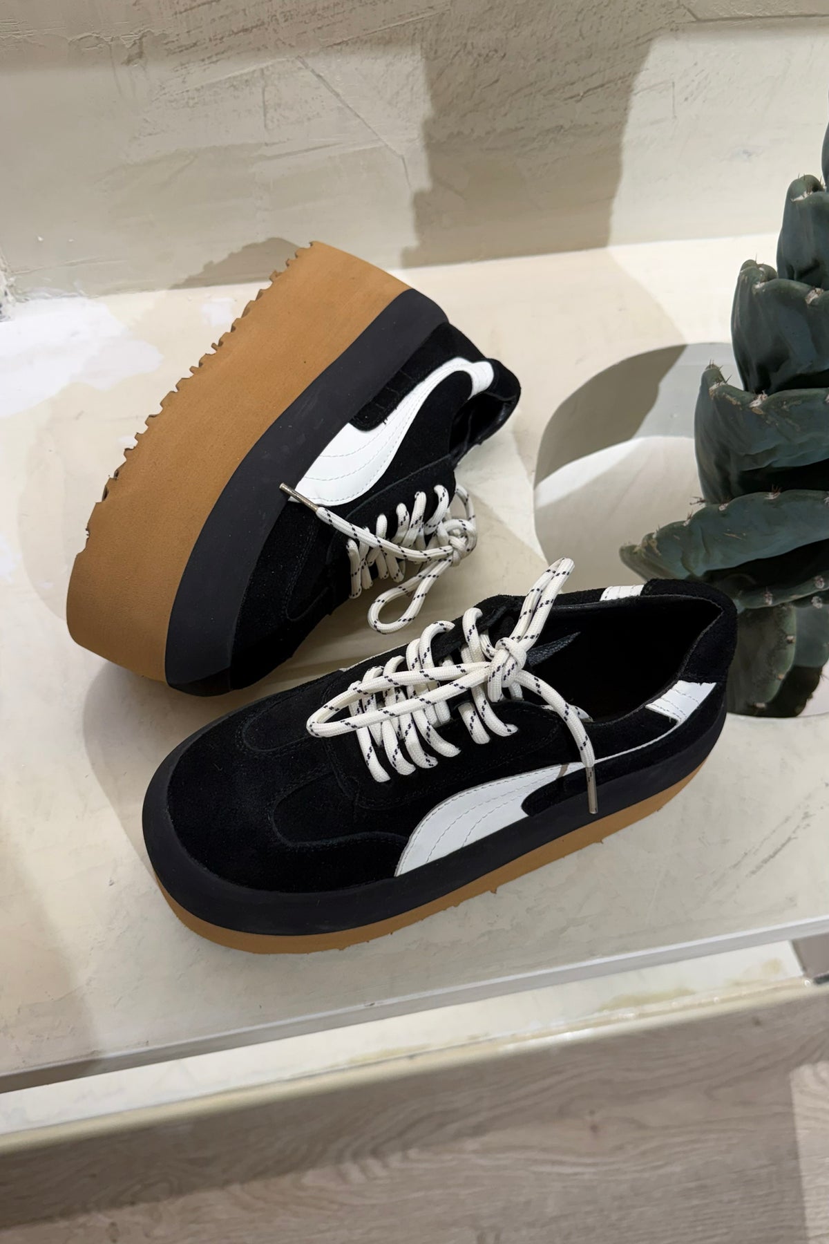 Tenis Siena