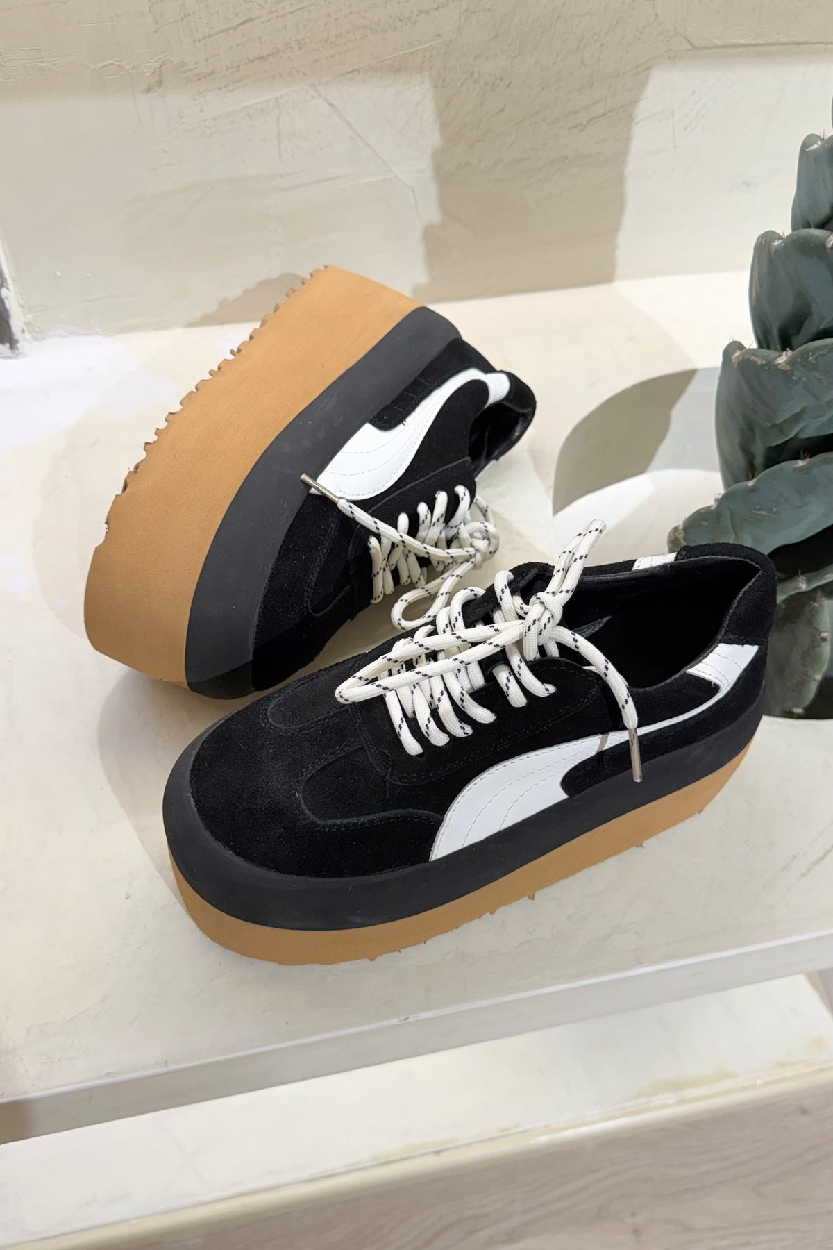 Tenis Siena