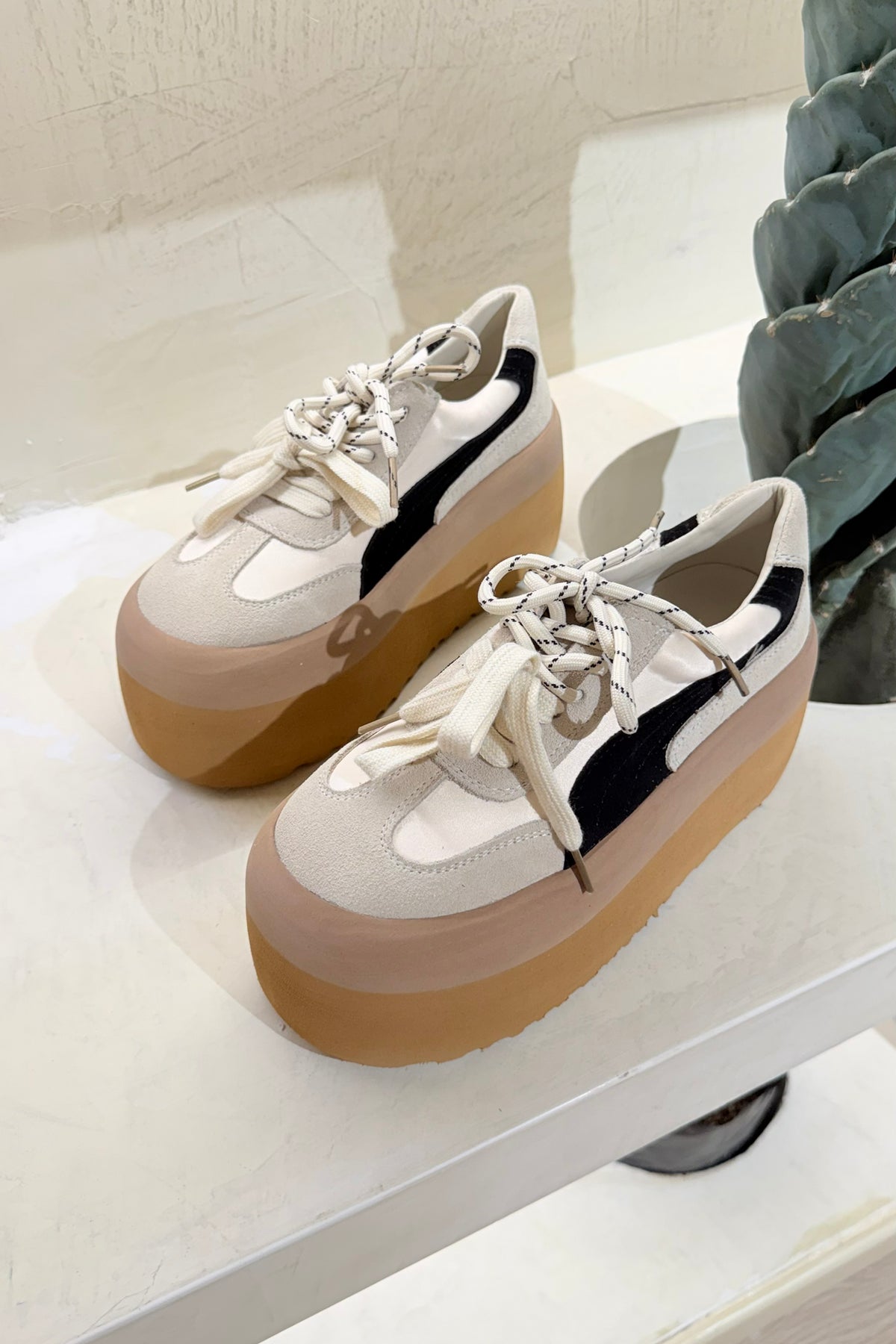 Tenis Siena