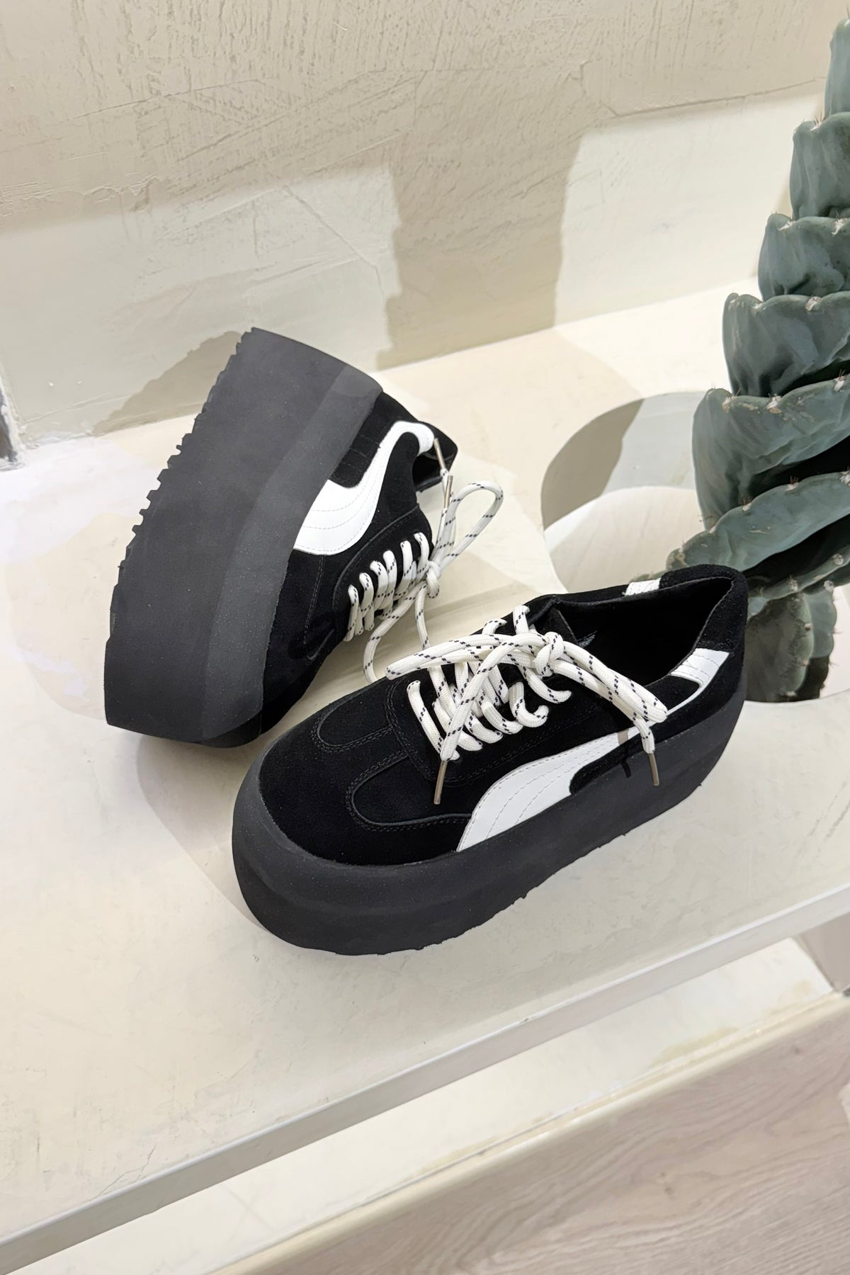 Tenis Siena