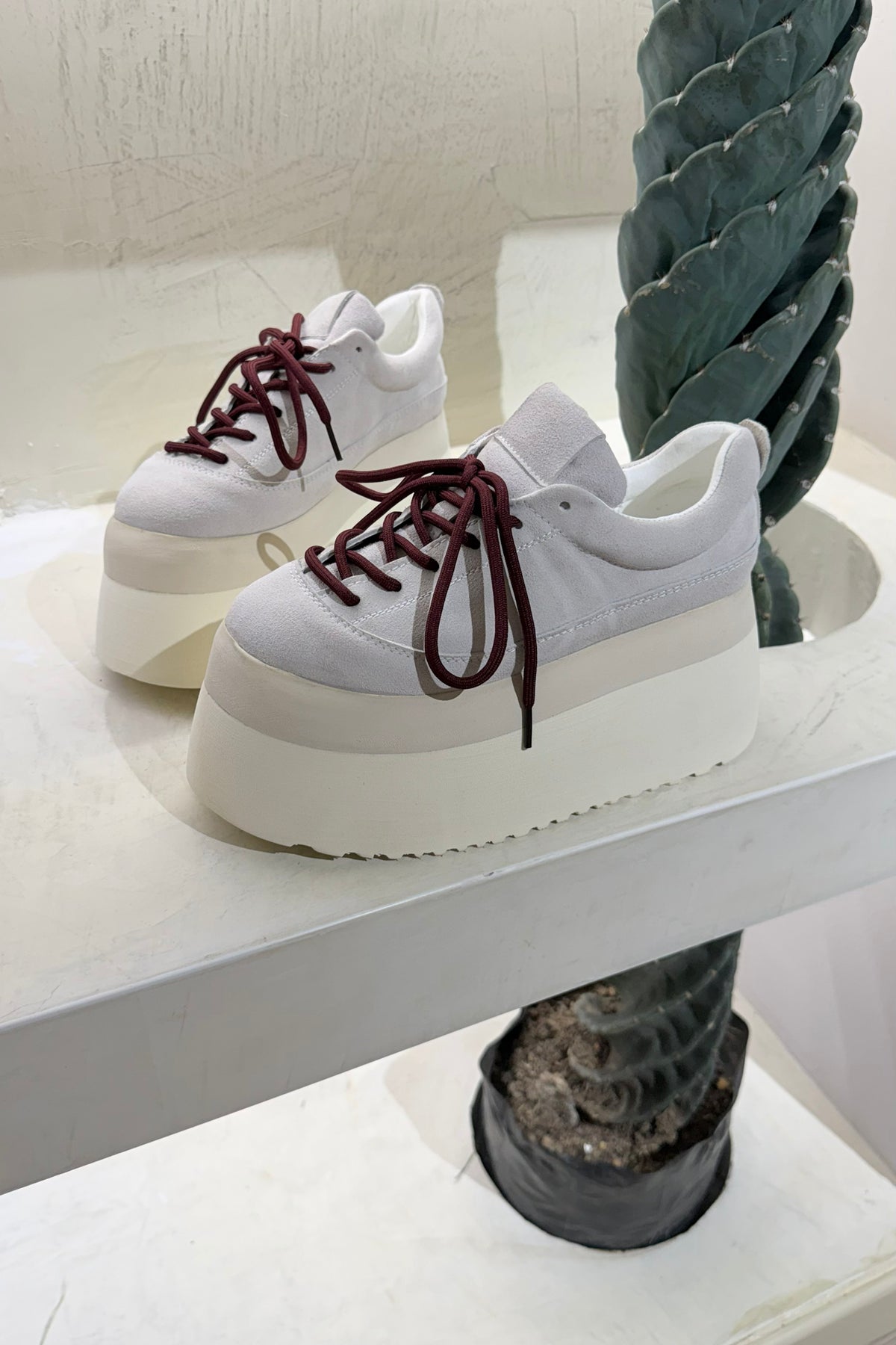 Tenis Sky Nappa