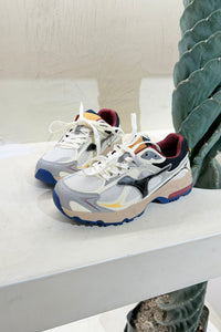 Tenis Rally